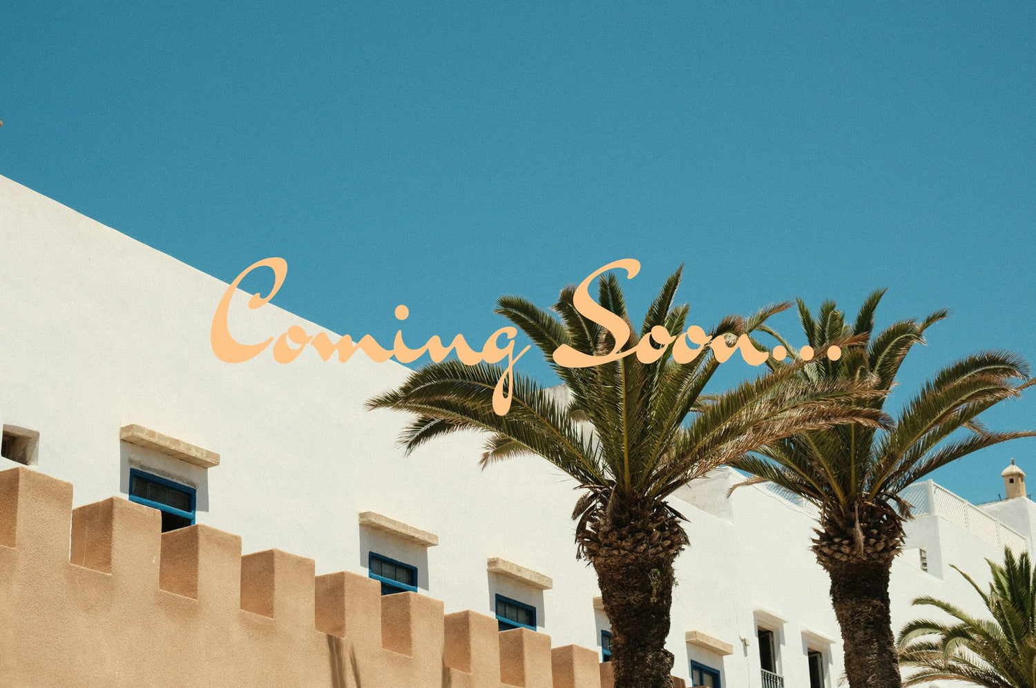 Hiya art de vivre Summer Collection Coming Soon with palm trees in the Essaouira Medina in Morocco