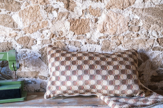 Lot de 2 housses de coussin lombaire réversibles en velours et polaire