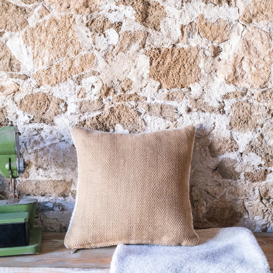 Lot de 2 petites housses de coussin décoratives double face