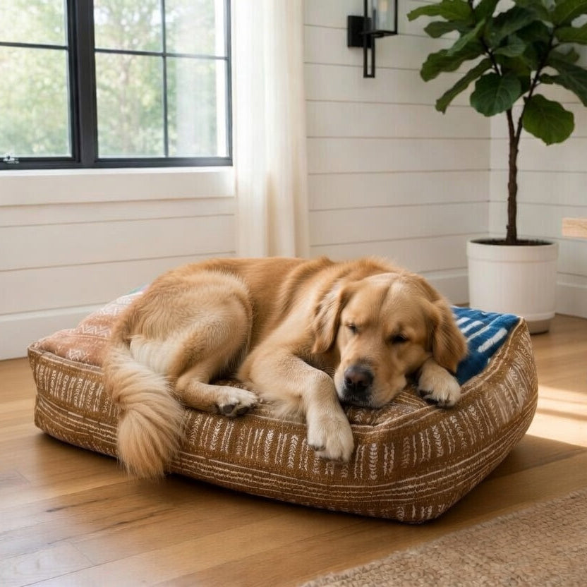 Dog lying on a upcycled fashioncushioned dog bed in a bright room with a plant and table in the background.